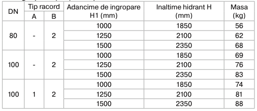 Hidrant suprateran DN 80, PN 16, A.I. = 1.25 ml, L.H. = 2.10 ml coloana FD - Image 3