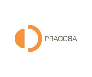 Logo 4