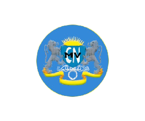 Logo 9